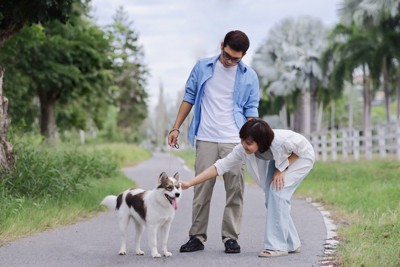 散歩、犬と2人