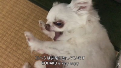 「お風呂に入ってくる」と言ったら激怒