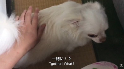 素直に起き上がりました!