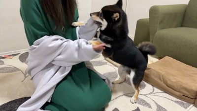 甘噛みしながら熱烈大歓迎!