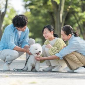 共働きの家庭で犬を飼うことはできるの？愛犬にツライ思いをさせないための心得とは