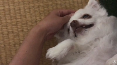 「一緒にお風呂に入ろう」と誘ったら…
