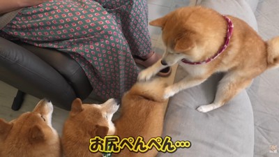 お尻ペンペン！