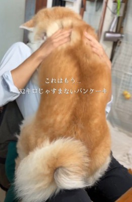まるで赤ちゃんみたい♡