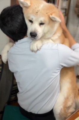 嬉しくてうっとり