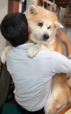 パパへの信頼が伝わる