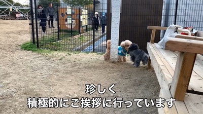 お友達にご挨拶♪