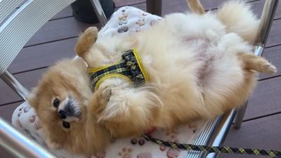 リラックスしすぎ！