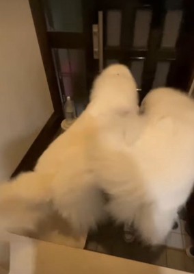 「おかえりなさい！」