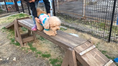 「無理無理!」と踏ん張って抵抗