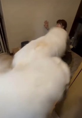 勢いよく飛びついて…