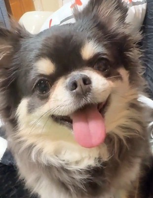 仲睦まじい兄弟でした♡