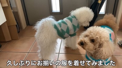 ドッグランに出発