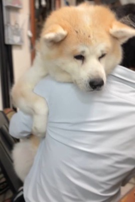 大きくても心は赤ちゃん！