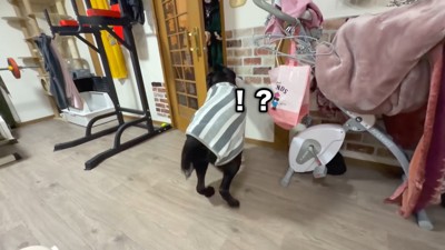 妹さんがドアを開けたら…?