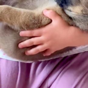 小さな女の子が『野犬の子犬』を抱っこした結果→まるで『赤ちゃん』のように…すべてが尊い光景が11万再生「愛情凄い」「ふたりとも激カワ」