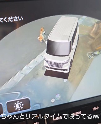 愛犬が映ってる!!