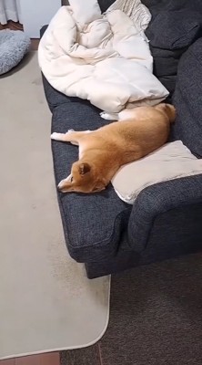 トイレから戻ったら…