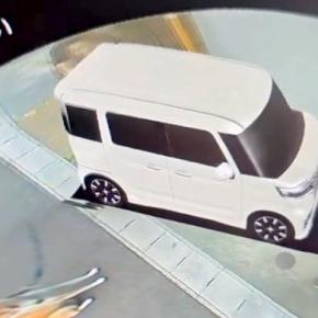 車に搭載されている『3Dカメラ』を確認した結果→なぜか『犬』が映っていて…シュールすぎる『爆笑の光景』が55万再生「リアルタイムで草」