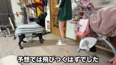 意外と控えめな態度でご挨拶