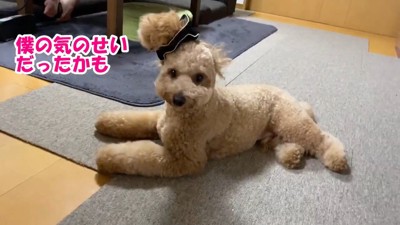 「何も取れないし、気のせいかも?」