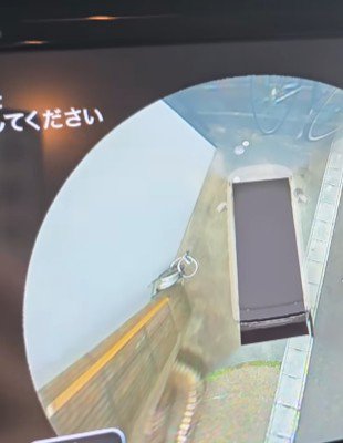 3Dカメラを確認してたら…