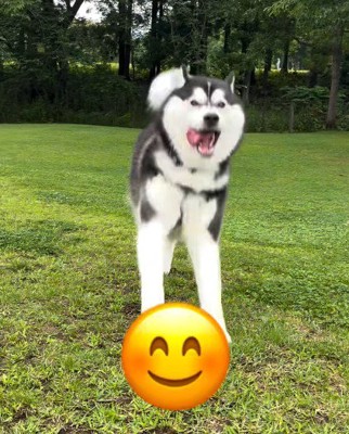 特大の笑顔にホッコリ