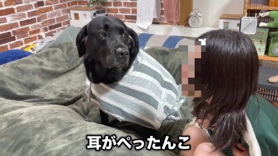 完全に人見知り発動中!