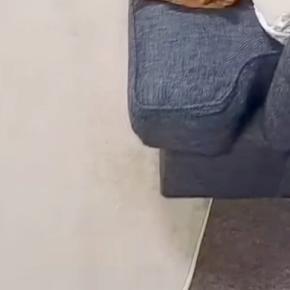 高熱が出たためソファで寝ていたパパ→トイレから戻ってきたら、犬に場所を取られていて…切ない結末が31万再生「パパ可哀想で草」「逆ギレw」