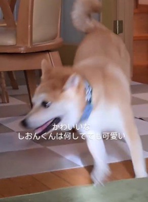 思わずほっこり♡