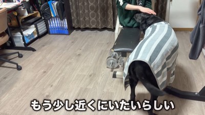 「もっと構って」と自分からそばへ