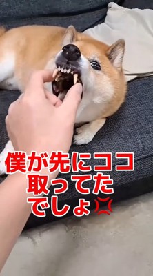ついに逆ギレ!