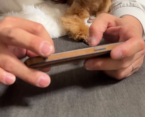 スマホを見ている投稿主の手