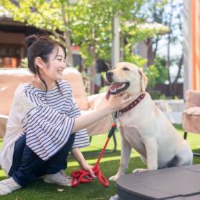 『落ち着いた性格の犬』の特徴6選　慌ただしいワンコと感情のコントロールが上手なワンコの違いとは？