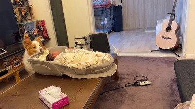 優しいお姉ちゃんになりそう♡