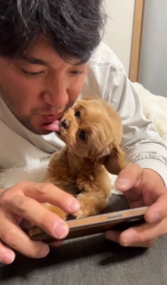 投稿主の顔を舐める小型犬