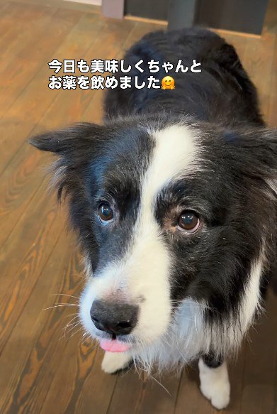天才的なアイデア