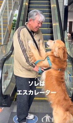大型犬を抱き上げる投稿主
