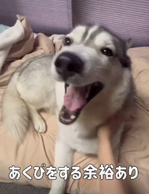 穏やかな表情
