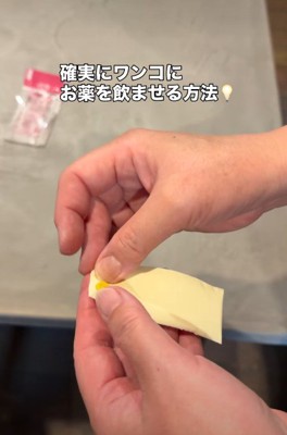 薬を飲ませるときは…