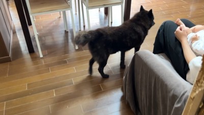 逃げました！