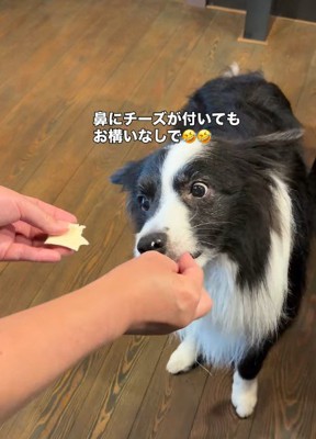 追いチーズを繰り返す