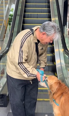 大型犬が苦手なもの
