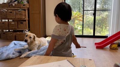 「まだ出るかな?」と期待してじーっ