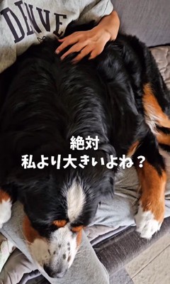 自分の大きさをわかっていないご様子