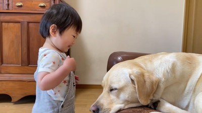 女の子もそばに