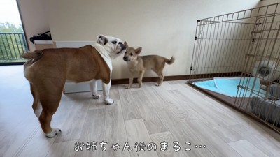 すぐに仲良くなれそう!