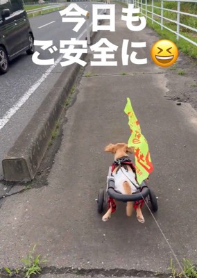 安全運転で一生懸命前進!