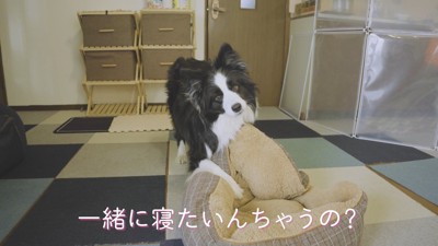 「一緒に寝たいの?」と聞いたら…
