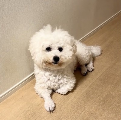 ほくさん、貫禄が光ります